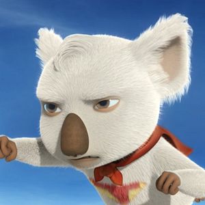 Photo Koala Kid