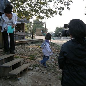 Photo Pierre Rabhi au nom de la terre