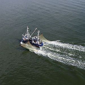 Photo Die Elbe von oben