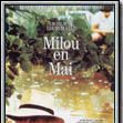 Photo Milou en mai