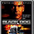 Photo Black Dog