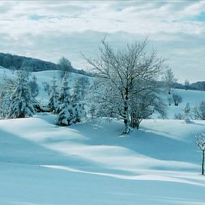 Photo Le renard et l'enfant