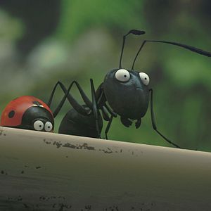 Photo Minuscule - La vallée des fourmis perdues