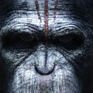 Photo La Planète des singes : l'affrontement