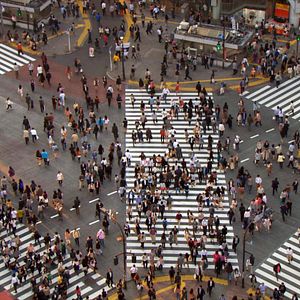 Photo Population Boom