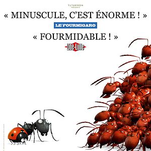 Photo Minuscule - La vallée des fourmis perdues