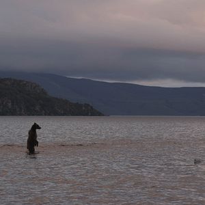 Photo Terre des Ours