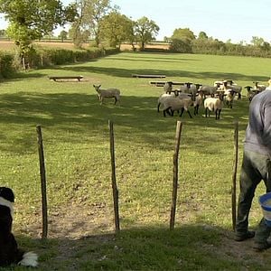 Photo Les petits gars de la campagne