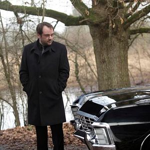 Photo Mark Sheppard