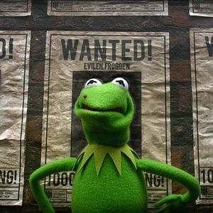 Photo Muppets most wanted