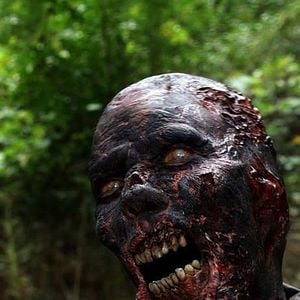 Photo The Walking Dead