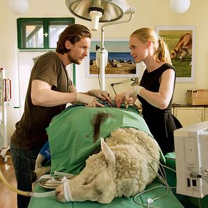 Photo Bert Tischendorf