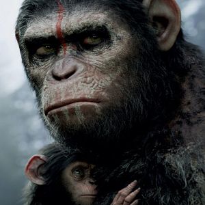 Photo La Planète des singes : l'affrontement