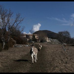 Photo Les Chèvres de ma mère