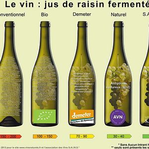 Photo Résistance Naturelle