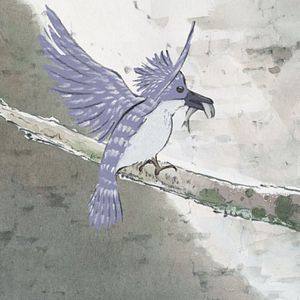 Photo Le Conte de la princesse Kaguya