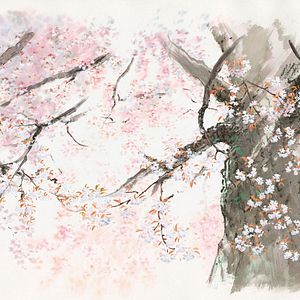 Photo Le Conte de la princesse Kaguya