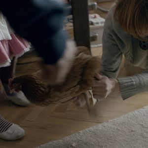 Photo The Chicken