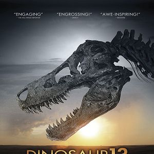 Photo Dinosaur 13
