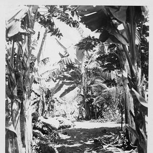 Photo The Galapagos Affair: Satan Came To Eden