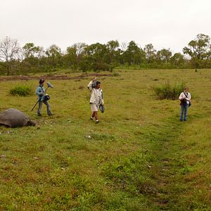 Photo The Galapagos Affair: Satan Came To Eden