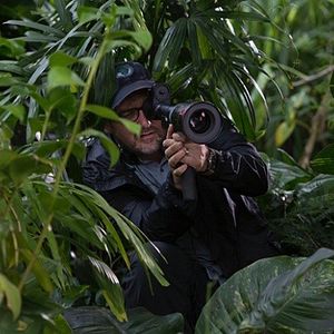 Photo Colin Trevorrow