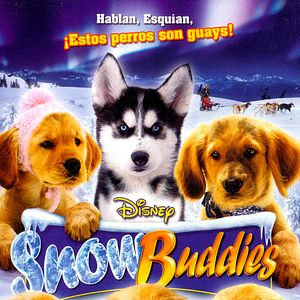 Photo Les Copains des neiges