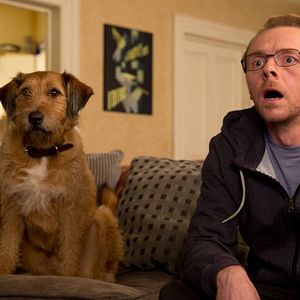 Photo Absolutely Anything