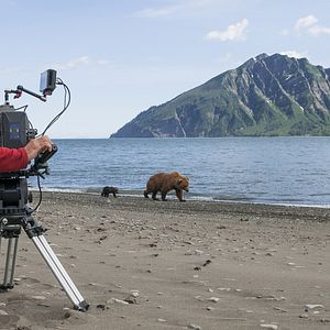 Photo Grizzly