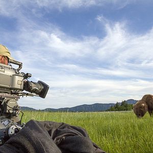 Photo Grizzly