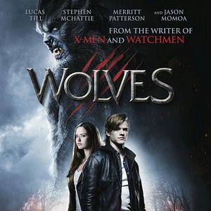 Photo Wolves