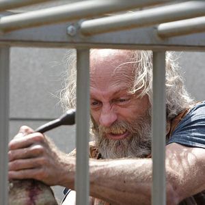 Photo Russell Hodgkinson