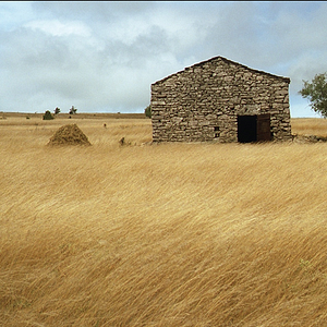 Photo Mateo Falcone