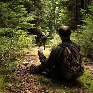 Photo Au cœur de la forêt du Sasquatch