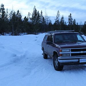 Photo Au cœur de la forêt du Sasquatch