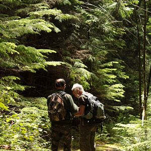 Photo Au cœur de la forêt du Sasquatch