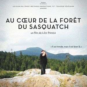 Photo Au cœur de la forêt du Sasquatch