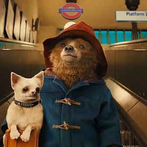 Photo Paddington