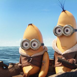Photo Les Minions