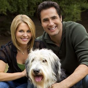 Photo Un amour de chien