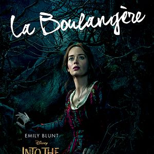Photo Into the Woods, Promenons-nous dans les bois