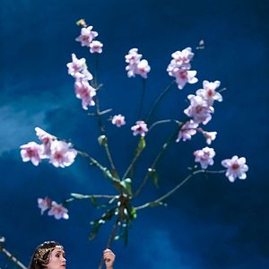 Photo L'Enlèvement au sérail (FRA Cinéma)