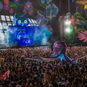 Photo EDC 2013: Under the Electric Sky