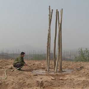 Photo Sud Eau Nord Déplacer