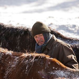 Photo Aidan Quinn