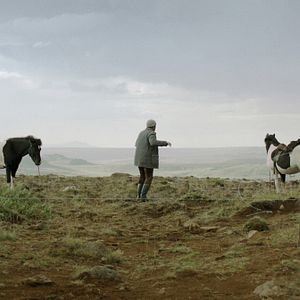 Photo Des chevaux et des hommes