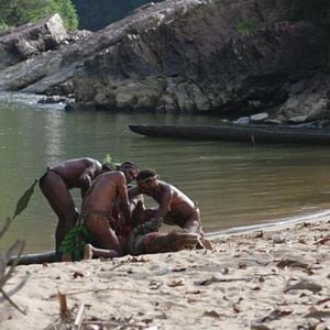 Photo L'enfant de la jungle