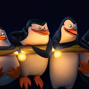 Photo Les Pingouins de Madagascar