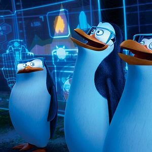 Photo Les Pingouins de Madagascar