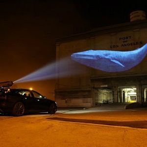 Photo Racing Extinction